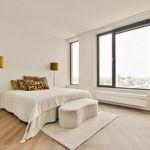 Rent 3 bedroom apartment of 123 m² in Amsterdam