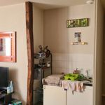 Rent 1 bedroom apartment of 35 m² in Chasseneuil-du-Poitou