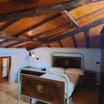 Affitto 1 camera appartamento di 50 m² in Anagni