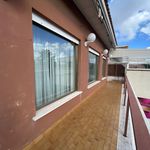 Affitto 5 camera appartamento di 170 m² in Ciampino