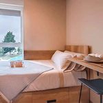 Rent 1 bedroom student apartment of 26 m² in Granada