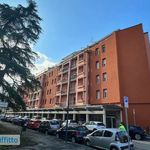 Rent 4 bedroom apartment of 92 m² in Bologna