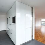 Rent 3 bedroom apartment of 156 m² in Basel