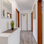 Rent 2 bedroom apartment of 68 m² in Laatzen