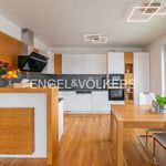 Rent 5 bedroom apartment of 167 m² in Praha