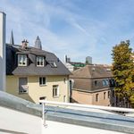 Rent 1 bedroom apartment of 45 m² in frankfurt