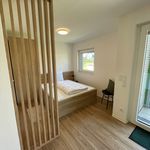 Miete 1 Schlafzimmer wohnung von 40 m² in Leopoldshöhe