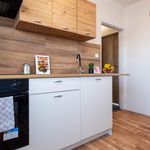 Rent 2 bedroom apartment of 53 m² in Poděbrady