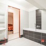 Rent 2 bedroom apartment of 60 m² in Žďár nad Sázavou