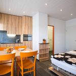 Rent 1 bedroom apartment of 25 m² in Vex