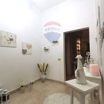 Rent 2 bedroom apartment of 66 m² in Palermo