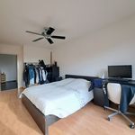  appartement avec 1 chambre(s) en location à Houthalen-Helchteren