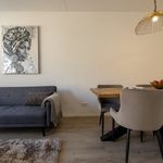 Rent 3 bedroom apartment of 861 m² in Eindhoven