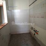 Rent 5 bedroom apartment of 140 m² in Barletta