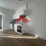 Rent 2 bedroom apartment of 2759 m² in Mazamet