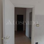 Affitto 5 camera casa di 90 m² in Frosinone