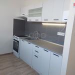 Rent 1 bedroom apartment of 63 m² in Chomutov