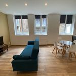 Rent 1 bedroom apartment of 26 m² in St Etienne