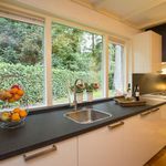 Rent 7 bedroom house in Enschede