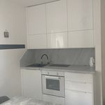 Rent 1 bedroom apartment of 90 m² in Velemín