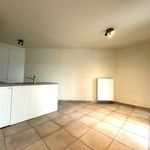 Rent 1 bedroom apartment in Harelbeke