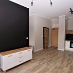 Rent 1 bedroom apartment of 34 m² in Elbląg