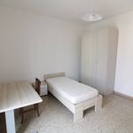 Rent a room of 80 m² in Verona