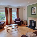 Rent 5 bedroom apartment in Galway