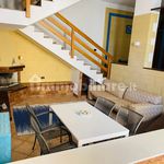 Rent 5 bedroom house of 120 m² in Santa Flavia