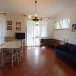 Affitto 1 camera appartamento di 65 m² in San Benedetto del Tronto