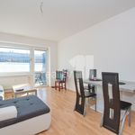 Rent 1 bedroom apartment of 35 m² in Liberec