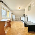 Rent 1 bedroom apartment of 18 m² in Teplice