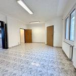 Pronajměte si 1 ložnic/e byt o rozloze 51 m² v Klášterec nad Ohří