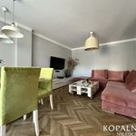 Wynajmij 2 sypialnię apartament z 50 m² w Katowice