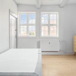 Rent 3 bedroom apartment of 102 m² in København K