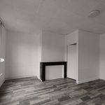 Rent 1 bedroom apartment of 24 m² in wassyT