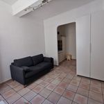 Rent 1 bedroom apartment of 22 m² in Lunel