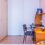 Rent 1 bedroom apartment of 42 m² in Lyon