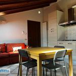 Rent 2 bedroom apartment of 48 m² in Casalpusterlengo