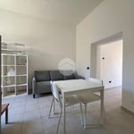 Rent 1 bedroom apartment of 30 m² in Tivoli