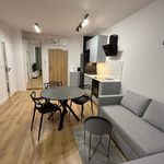 Rent 2 bedroom apartment of 40 m² in Łódź