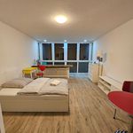 Miete 1 Schlafzimmer wohnung von 30 m² in Nürnberg