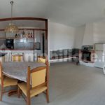 Rent 3 bedroom apartment of 300 m² in Montauro