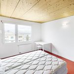Rent 4 bedroom apartment of 57 m² in Renens