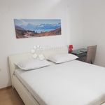 Rent 1 bedroom apartment of 42 m² in Rijeka
