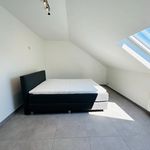 Rent 1 bedroom apartment in Koekelare