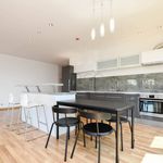 Rent 4 bedroom apartment of 142 m² in Prague