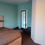 Rent 3 bedroom apartment of 118 m² in Ostrava