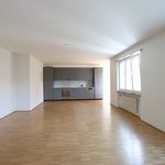 Rent 3 bedroom apartment of 94 m² in Basel
