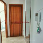 Rent 2 bedroom apartment of 55 m² in Palermo